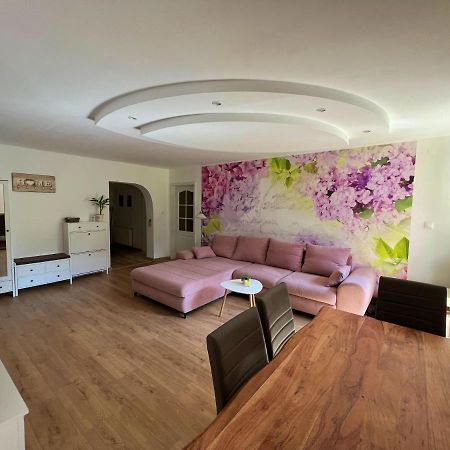 Apartman Stara Sasova บันสกาบิสตรีตซา ภายนอก รูปภาพ