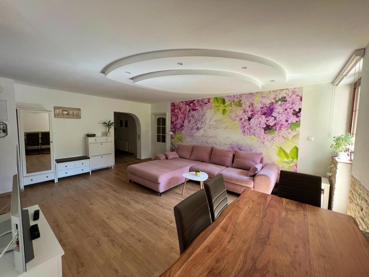Apartman Stara Sasova บันสกาบิสตรีตซา ภายนอก รูปภาพ