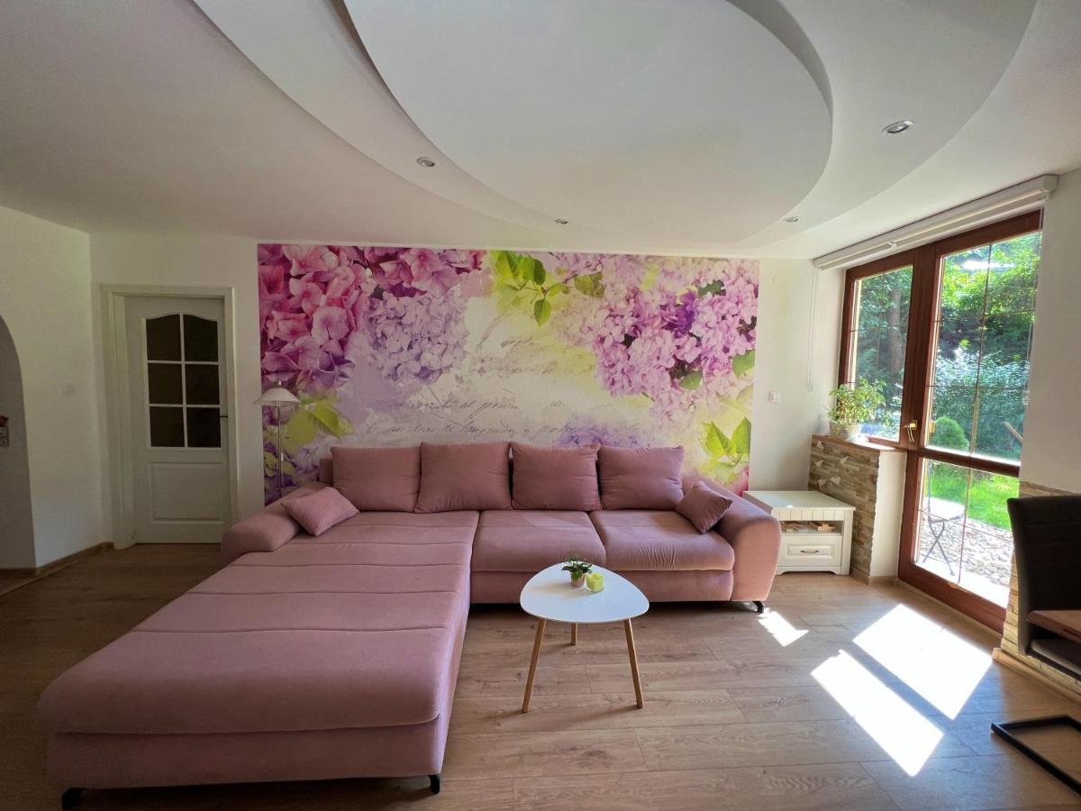 Apartman Stara Sasova บันสกาบิสตรีตซา ภายนอก รูปภาพ