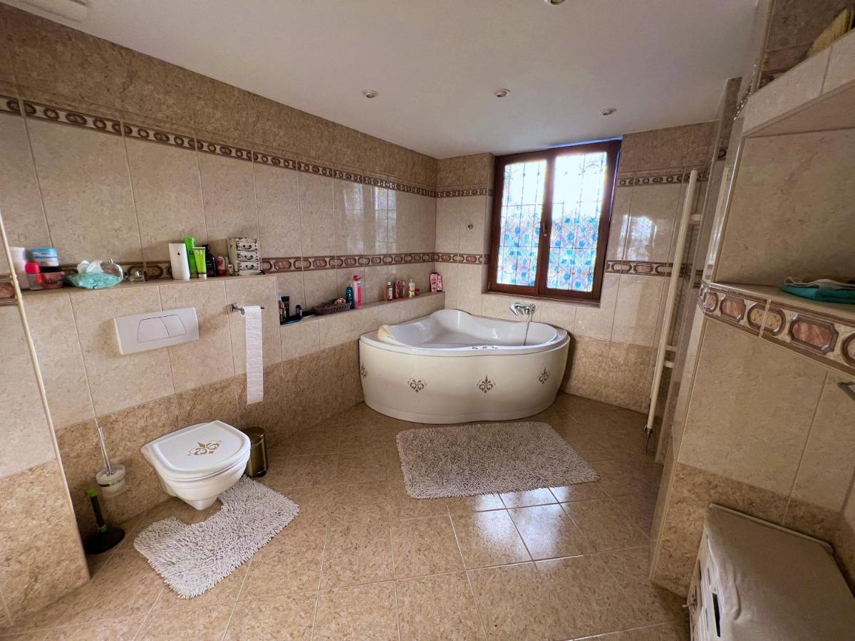 Apartman Stara Sasova บันสกาบิสตรีตซา ภายนอก รูปภาพ